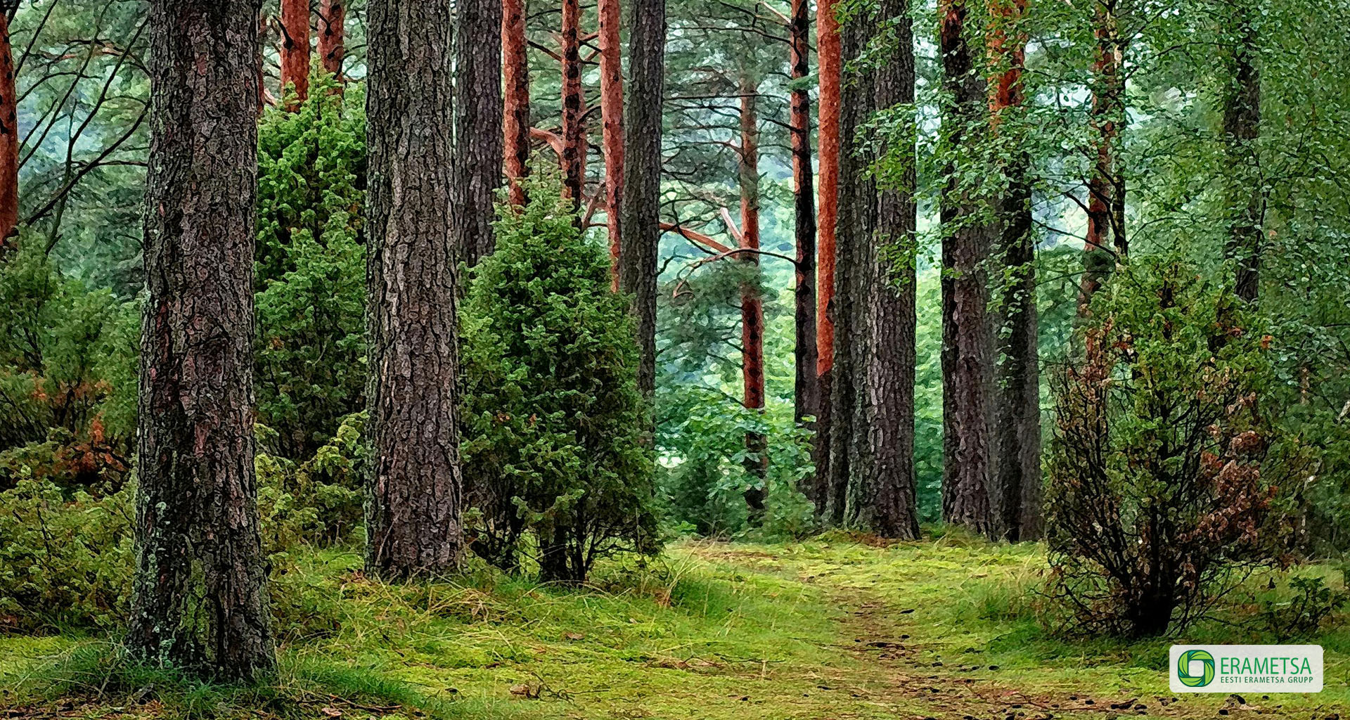 metsamaa ost kuni 40 000 eurot hektar, metsaoksjon